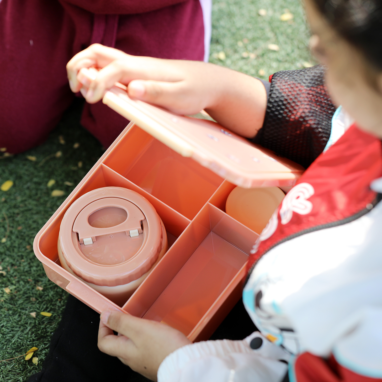 Chalky-Pink--common-7